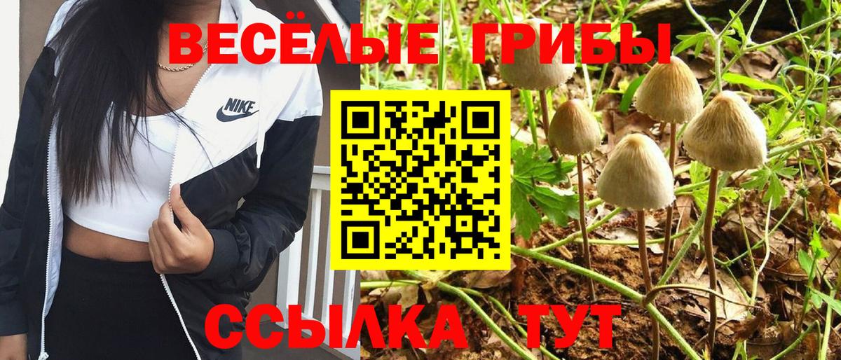Псилоцибиновые грибы прущие грибы Бирск