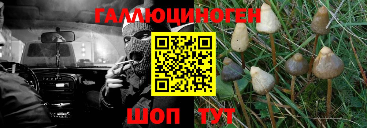 Бирск  Псилоцибиновые грибы мицелий  Вход с VPN 